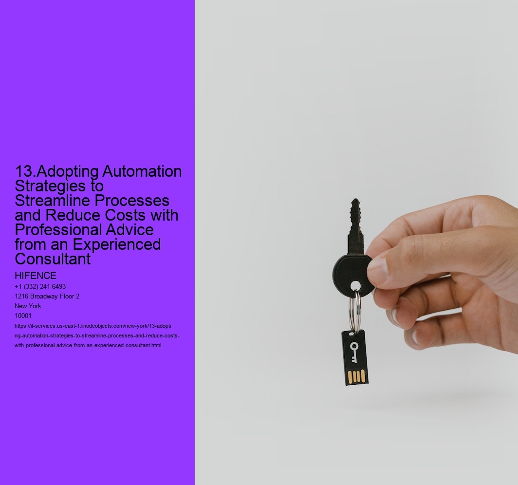 13.Adopting Automation Strategies to Streamline Processes and Reduce Costs with Professional Advice from an Experienced Consultant  