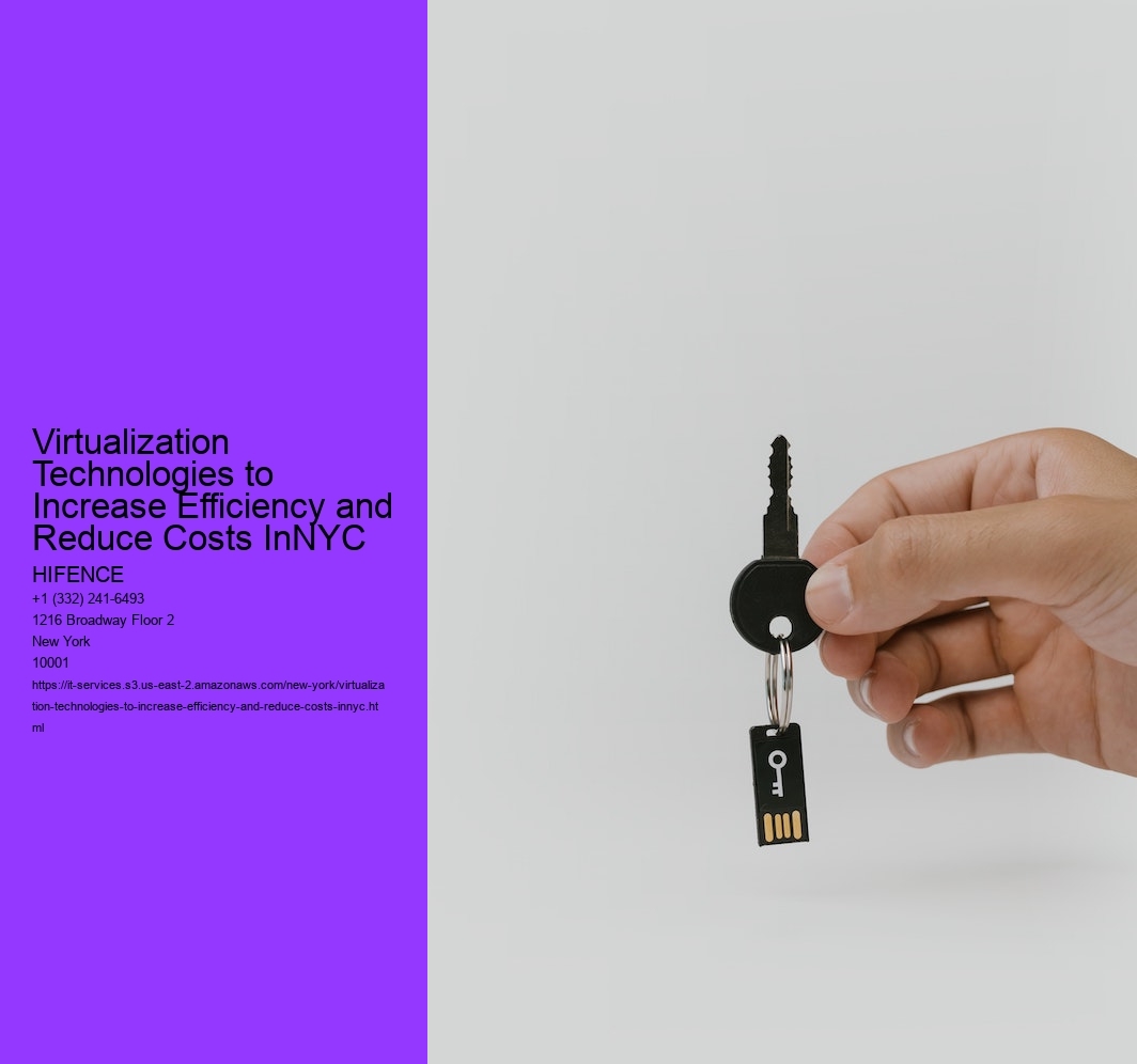 Virtualization Technologies to Increase Efficiency and Reduce Costs InNYC  